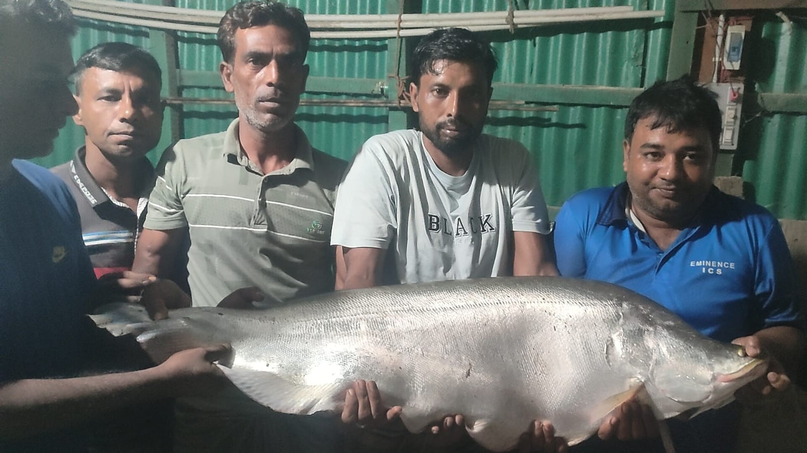 নাটোরে বারনই নদে বড়শিতে ১৪ কেজি ওজনের চিতল মাছ